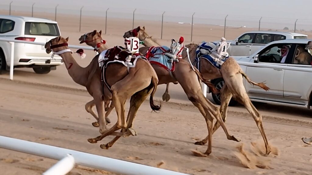 WhatsApp-Image-2026-04-18-at-10.25.59-PM-1024x576 الرئيسية