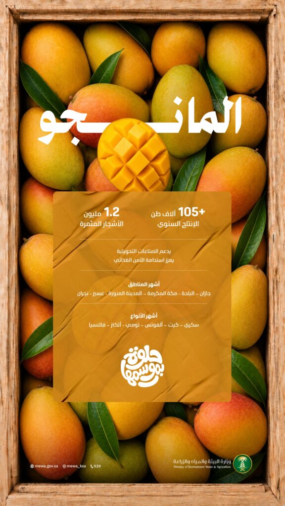 WhatsApp-Image-2026-06-22-at-1.28.03-PM-576x1024 الرئيسية
